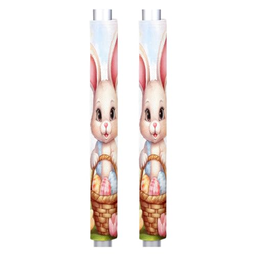 Z:Easter Bunny