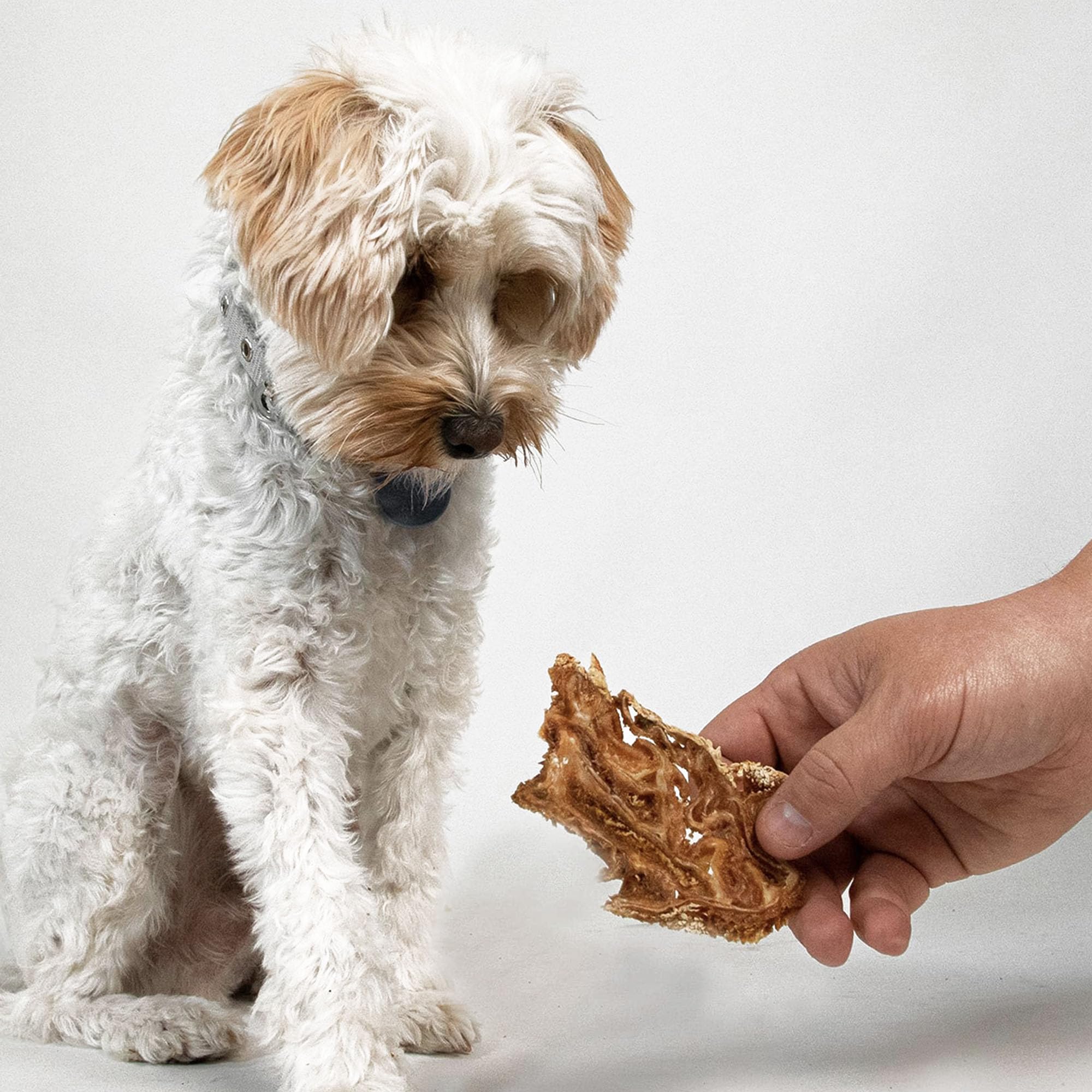 Premium Pupford Lamb Jerky Dog Treats for All Breeds & Ages | 100% Natural USA-Made, Grain-Free, No Fillers | Healthy Training & Reward Snacks for Small & Large Dogs (7oz) – Perfect for Travel, Hiking & Daily Training