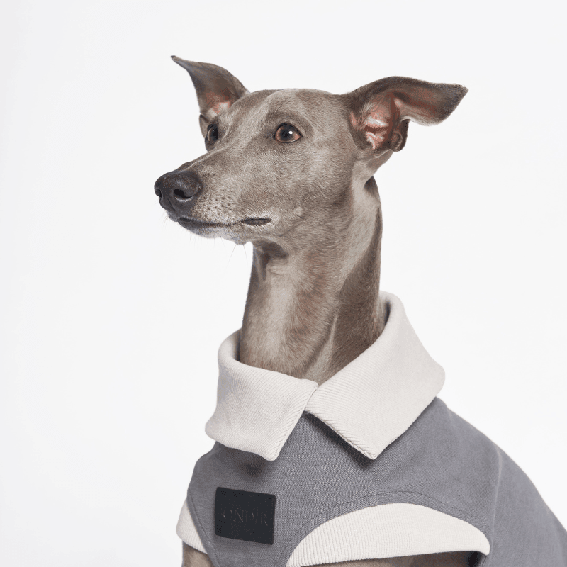 Graphite Asymmetric Collar Tank Top for Women - Trendy Sleeveless Casual Shirt for Summer Outfits & Layering