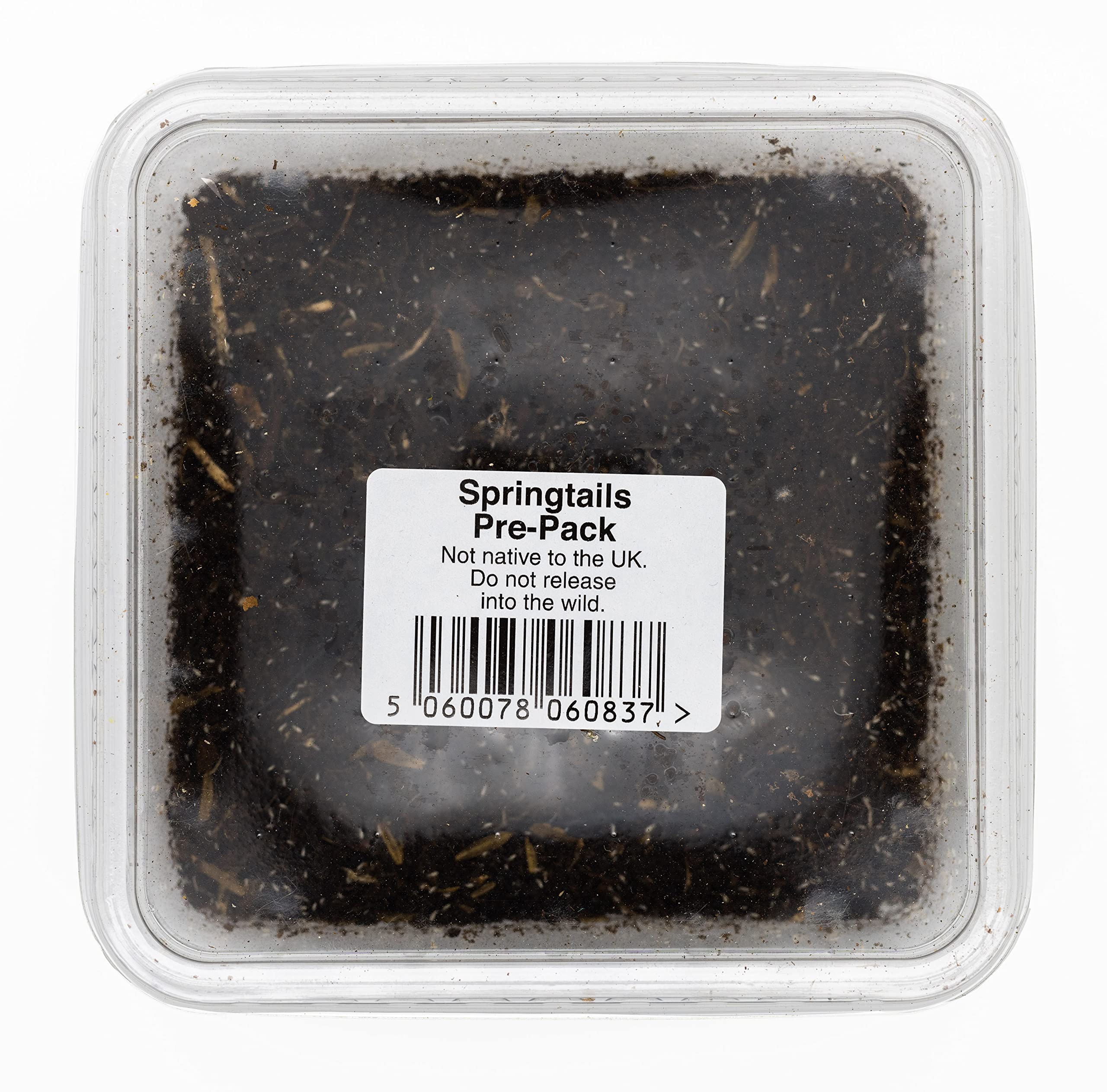 Live Springtails for Terrariums - Bioactive Cleanup Crew | Live Food for Reptiles, Frogs & Vivariums | Perfect for Natural Ecosystem Setup & Mold Control