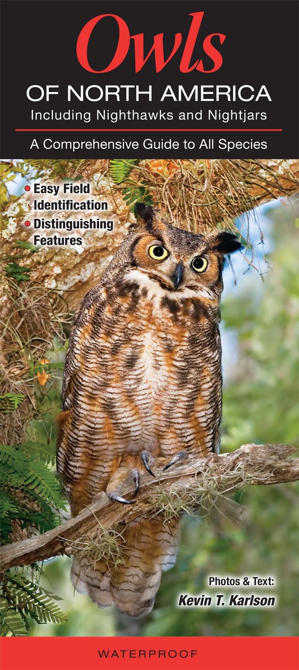 Owls of North America: Nighthawks & Nightjars - Bird Watching Guide for Nature Enthusiasts & Outdoor Adventures