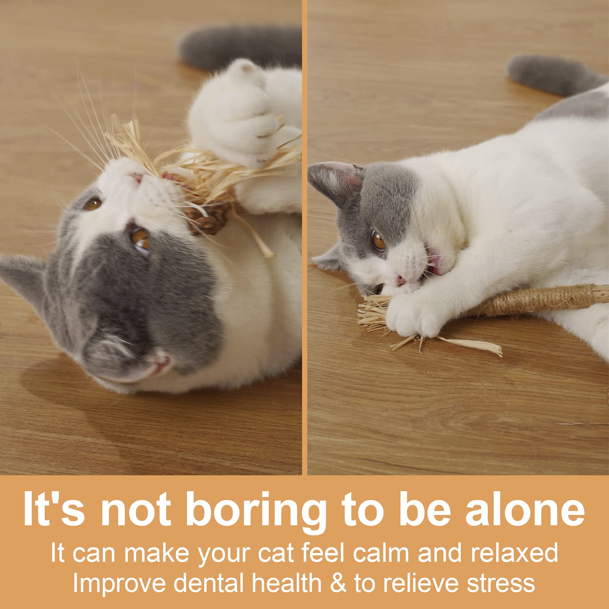 PAZ'S GIFT 5-Pack Natural Silvervine Catnip Sticks & Cat Kick Toys - Interactive Dental Chew Toys for Kittens, Indoor Play to Reduce Obesity & Loneliness | Great for Teething, Playtime & Bonding with Your Cat