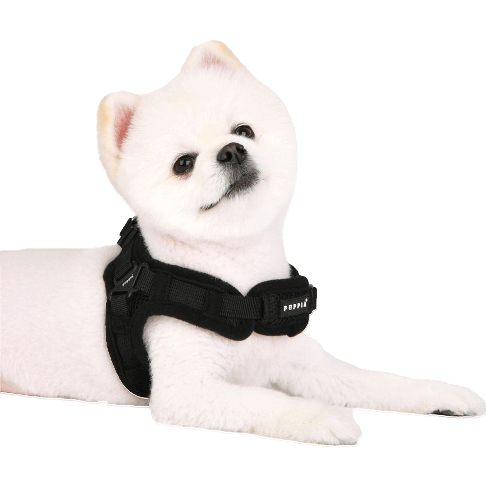 Puppia Black Soft Step-In Dog Harness - Adjustable & Comfortable for Small to Medium Dogs - Perfect for Walking, Training & Outdoor Adventures