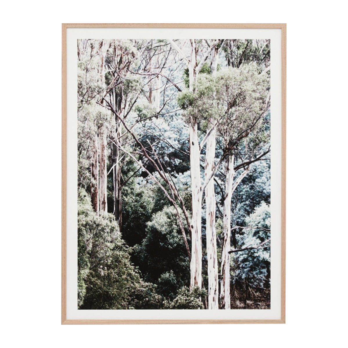 Eucalyptus Canopy Print Duvet Cover Set - Botanical Leaf Design Bedding for Boho & Nature-Inspired Bedrooms | Perfect for Master Bedroom, Guest Room & Dorm Decor