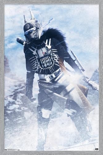 Gray Framed Version