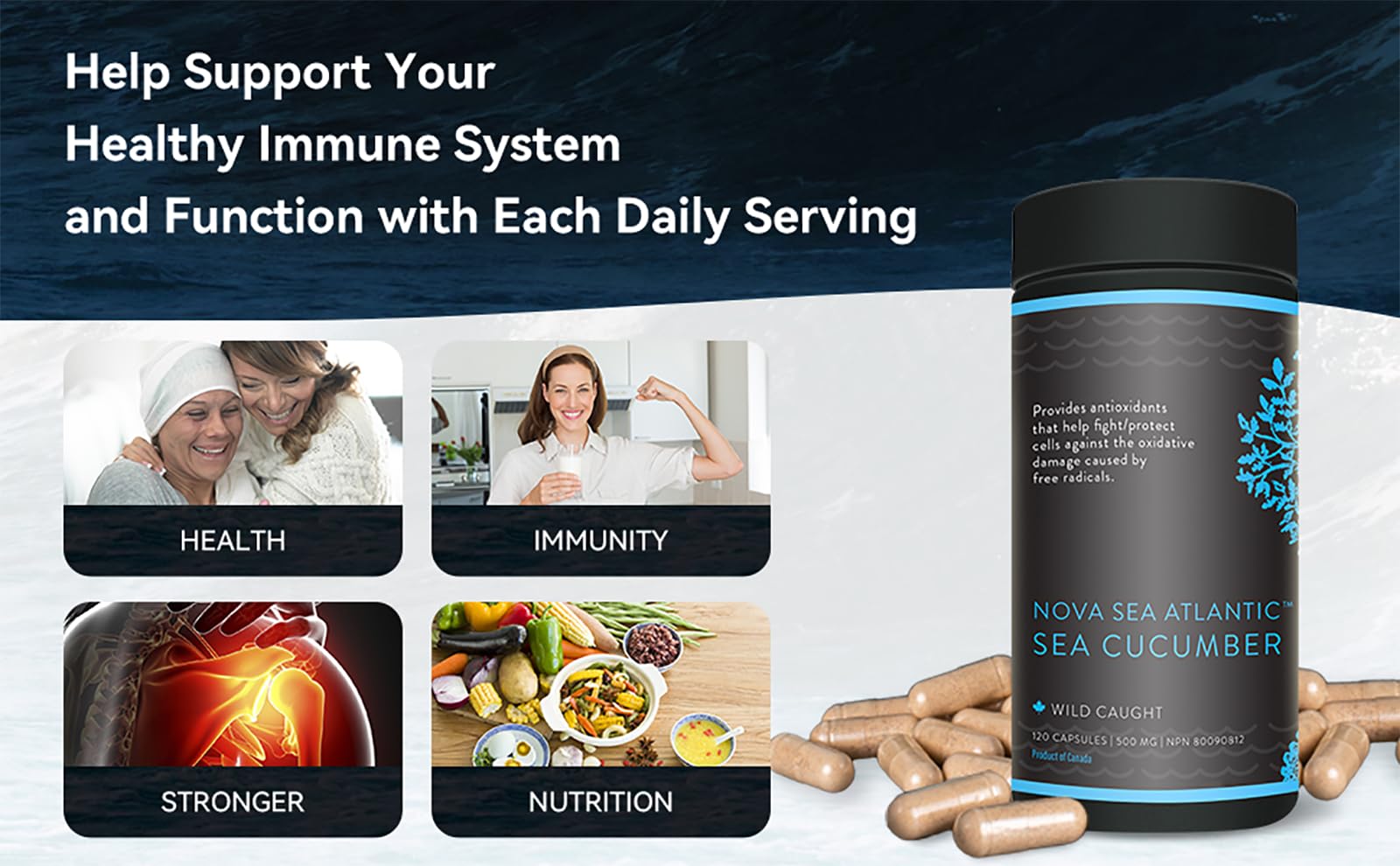 Premium Wild Sea Cucumber Supplement Capsules - Rich in Fucosylated Chondroitin Sulfate, Collagen & Antioxidants - Supports Energy, Immunity & Joint Health - Natural Source of Glycosides, Vitamins & Minerals - Ideal for Athletes, Busy Professionals & Health-Conscious Individuals