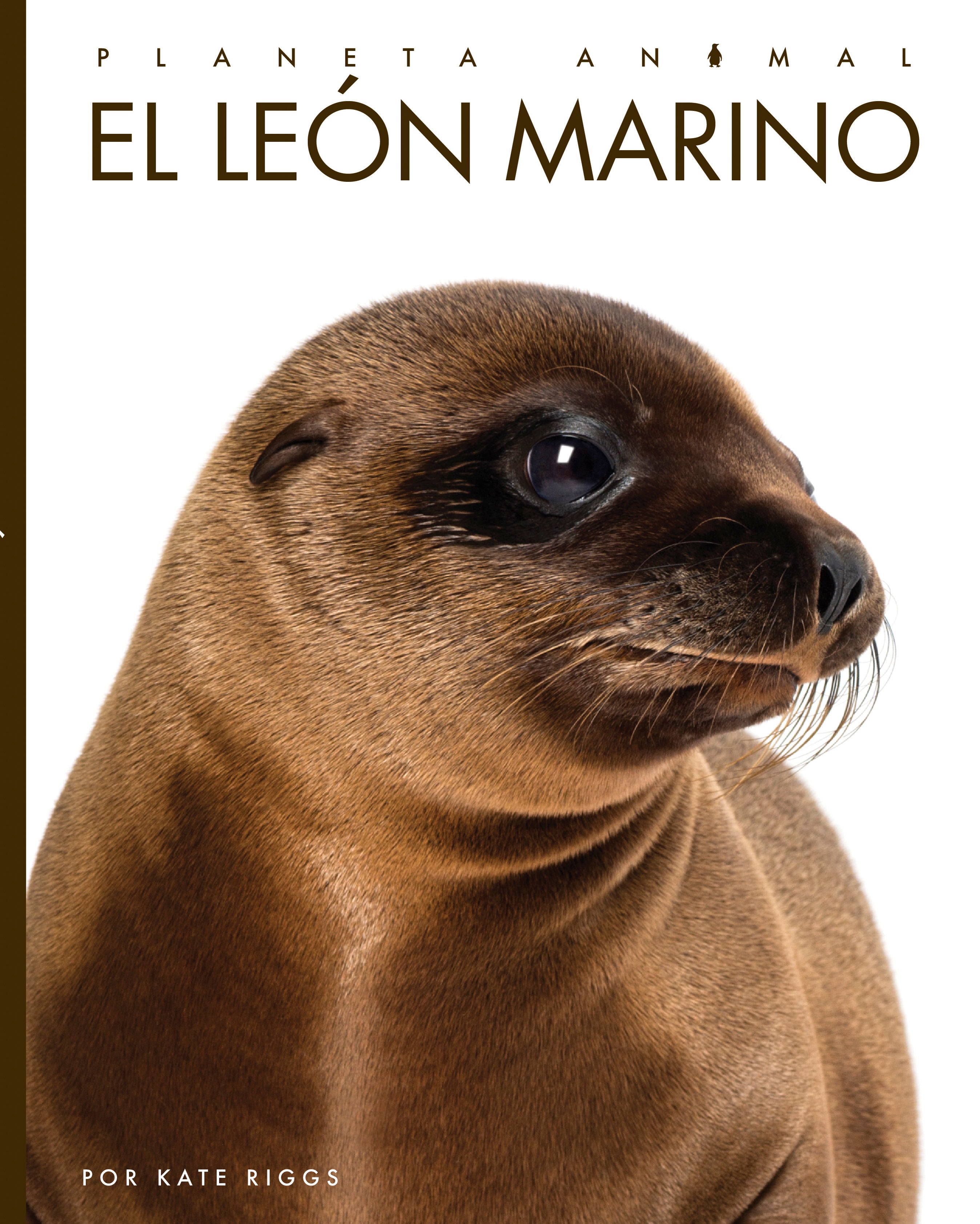 El Leon Marino Book 9781640266803 - Learn About Sea Lions | Perfect for Kids, Marine Life Enthusiasts & Classroom Learning