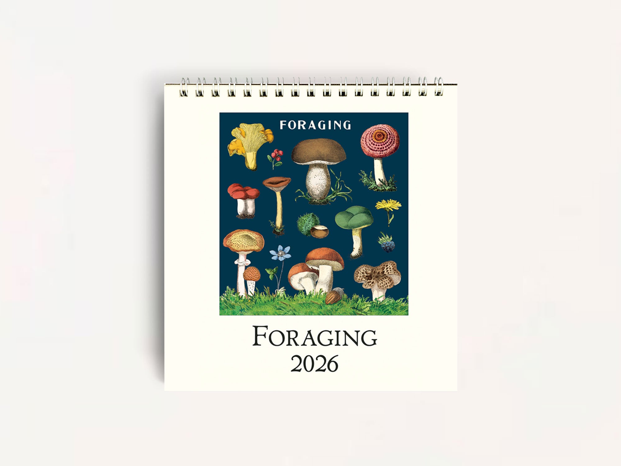 Cavallini 2026 Foraging Theme Desk Calendar - Botanical Wall Calendar for Office & Home Decor | Perfect for Nature Lovers, Kitchen Planning & Gift Giving