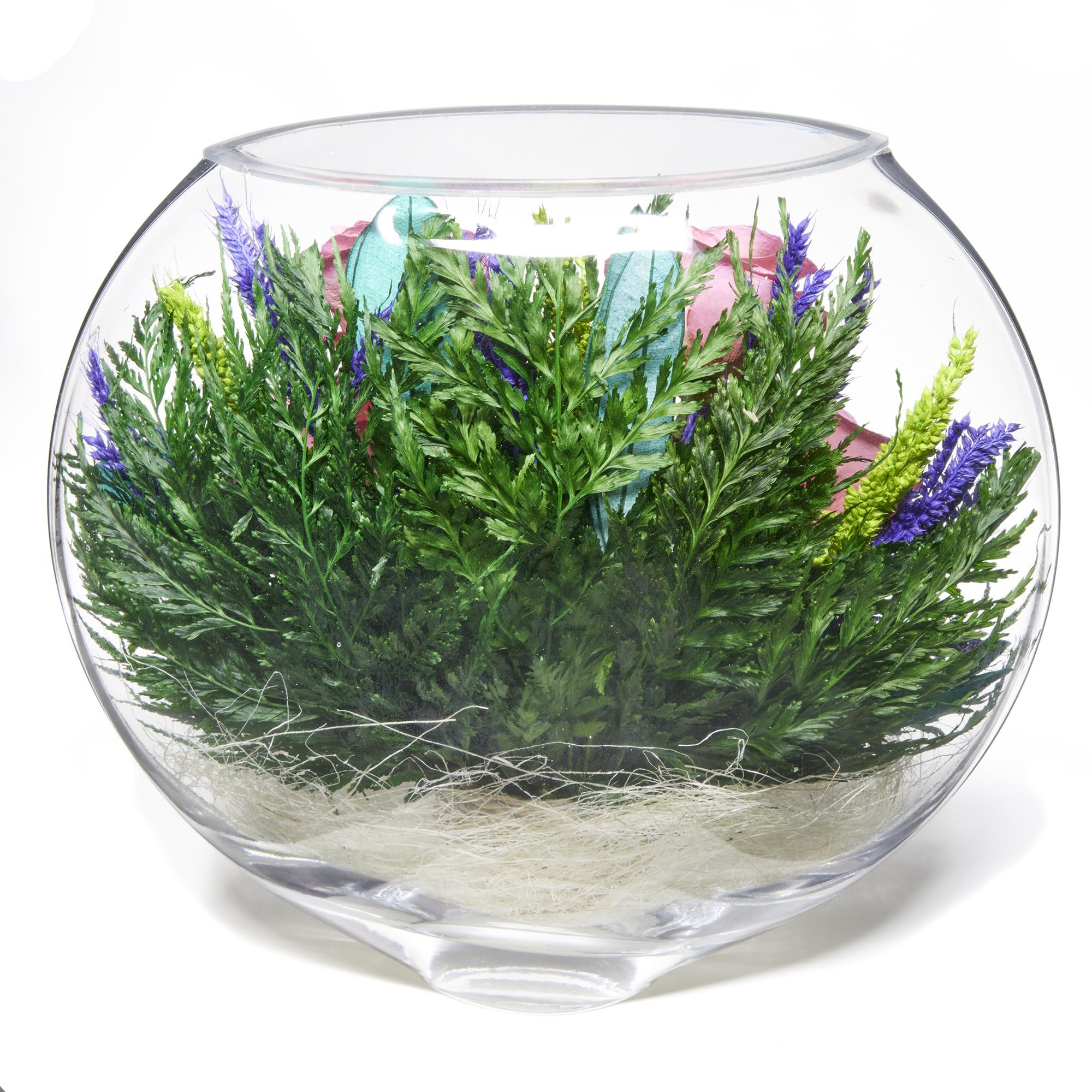 Long-Lasting Preserved Roses in Glass Vase - Fresh Cut Flowers That Stay Beautiful for 5+ Years | Waterless, Allergy-Free Bouquet | Perfect Romantic Gift for Anniversary, Valentine's Day & Home Decor (Serenade Pink)