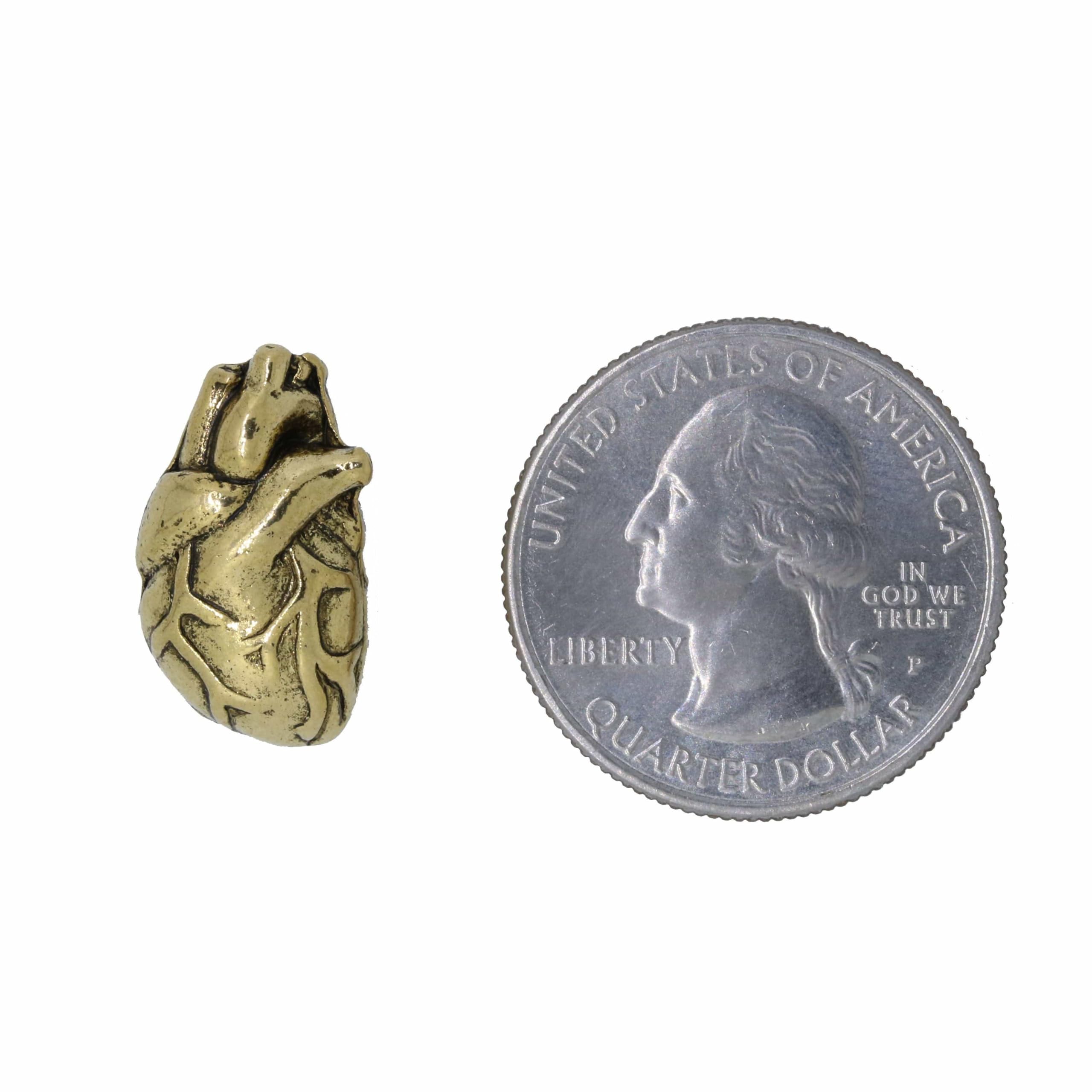 Jim Clift Design Human Heart Gold Lapel Pin - Elegant Jewelry Gift for Doctors, Nurses & Medical Professionals - Perfect for Suits, Blazers & Special Occasions