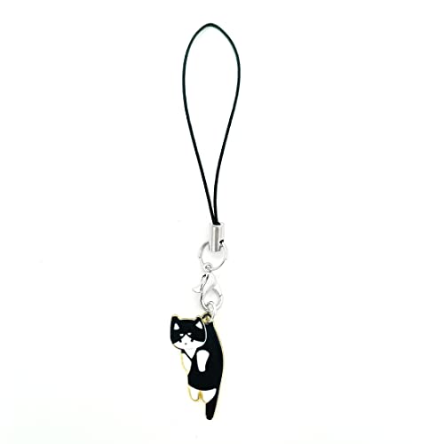 Black Cat