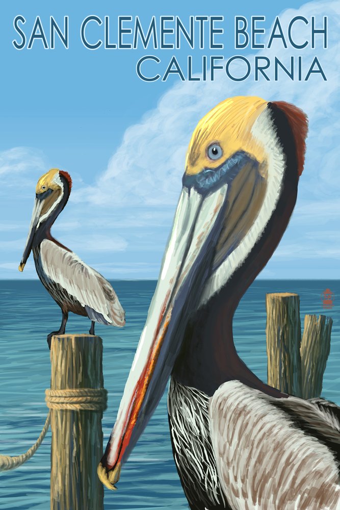 Signed Brown Pelican Art Print - 24x36 California San Clemente Beach Wall Decor Poster | Perfect for Coastal Home, Office & Gift