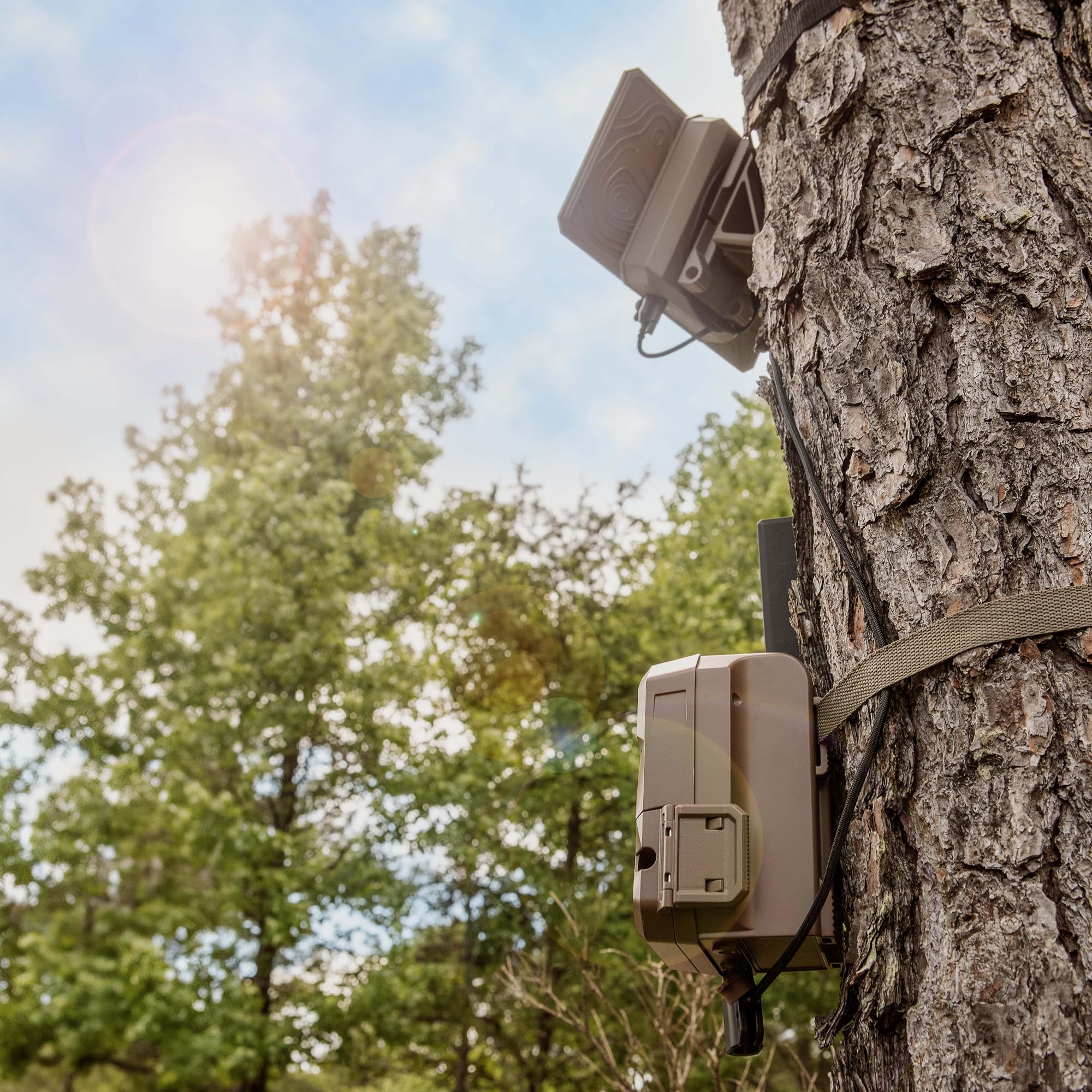 Moultrie Solar Panel Power Pack - Portable Solar Charger for Trail Cameras, Hunting Gear & Outdoor Electronics - Perfect for Camping, Hiking & Wildlife Monitoring