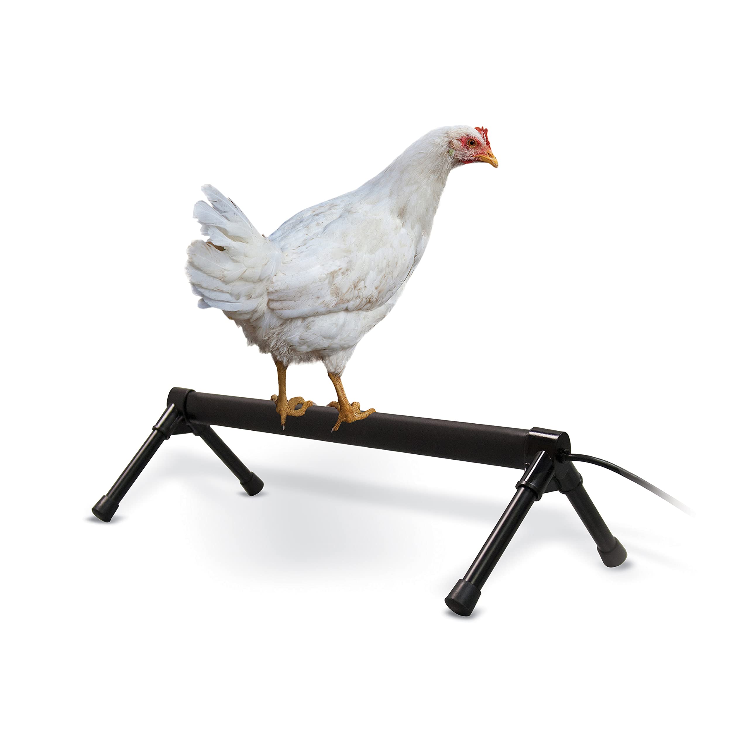 K&H Pet Products Thermo Heated Chicken Perch for Coop - 26