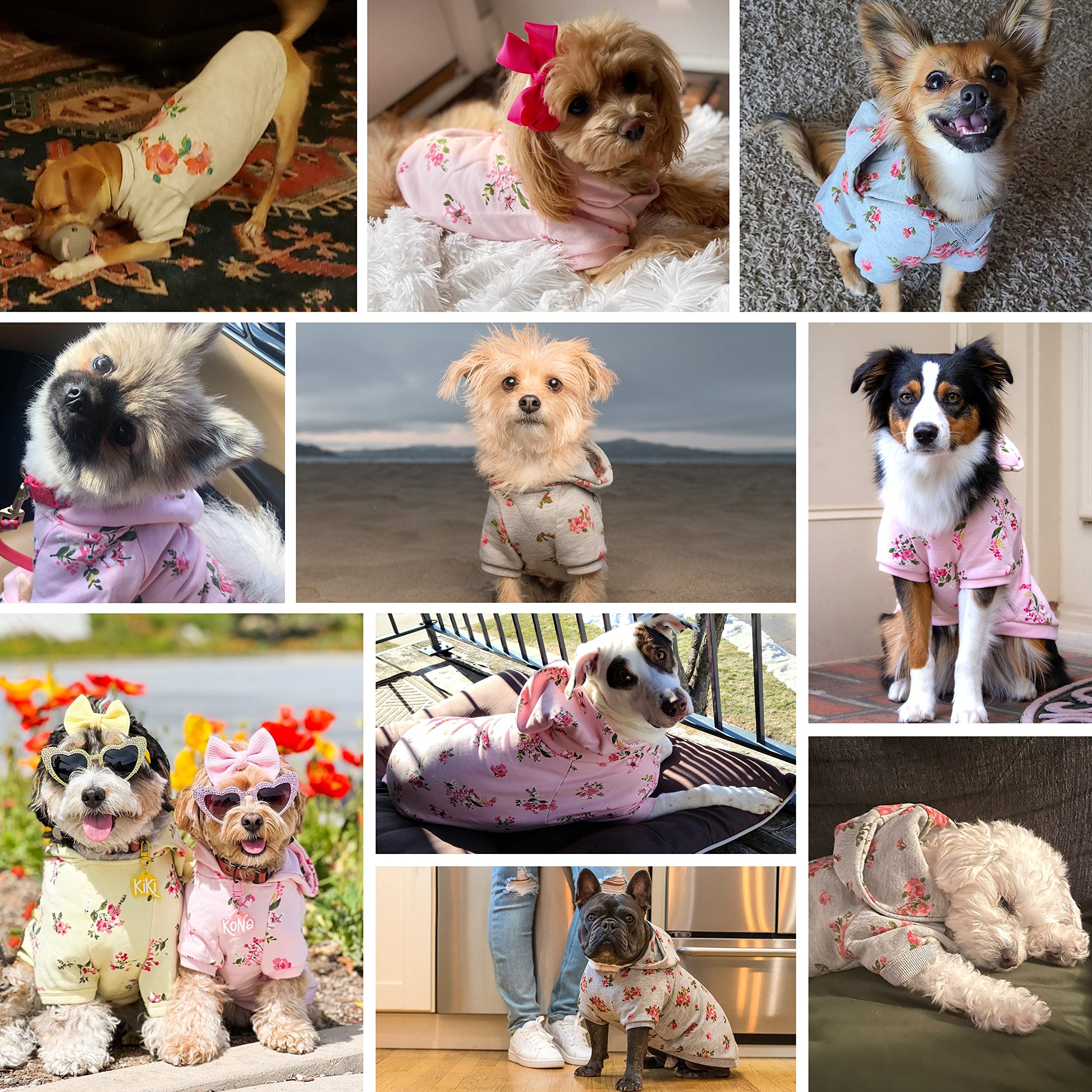 Blueberry Pet 2023 New Spring Rose Scented Dog Sweater - Baby Pink Crew Neck Pullover, 12