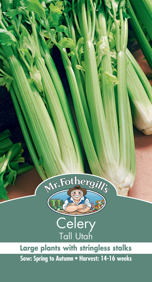Organic Celery 'Tall Utah' Seeds - Non-GMO, Heirloom Variety for Home Gardening, Fresh Salads & Healthy Juicing