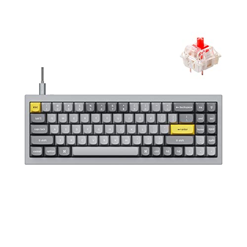 Hot-swap Gateron G Pro Red Switch