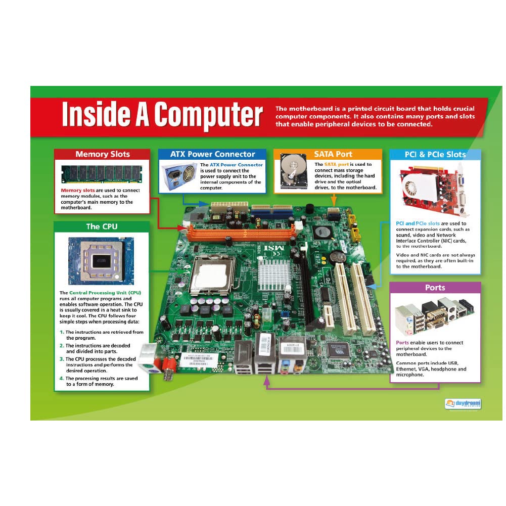 Daydream Education Hardware Basics ICT Classroom Posters - Set of 2 - EXTRA LARGE 33” x 23.5” - Gloss Paper - Technology & Computing High School Classroom Decor - Educational Wall Charts for Computer Science Teachers & Students - Perfect for STEM Labs & School Bulletin Boards