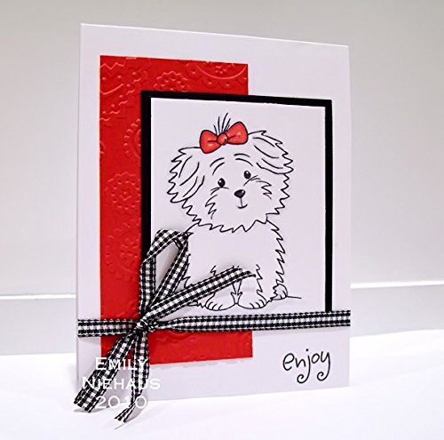 Birthday Sentiment Stamps for Card Making & Scrapbooking - Birthday Dog & Cookie Designs by The Stamps of Life - Perfect for DIY Greeting Cards, Invitations & Memory Albums