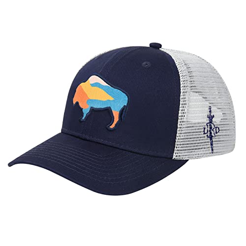 Sky Bison
