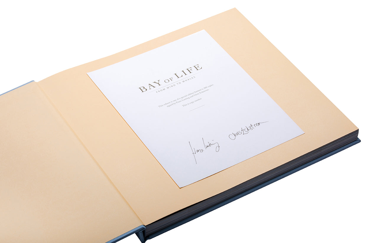 Bay of Life Collector's Edition - Limited Edition Collectible for Fans & Enthusiasts - Perfect for Display, Gifting, and Home Decor