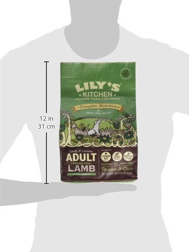 Lily's Kitchen Premium Dry Dog Food - Lovely Lamb with Peas & Parsley, Grain-Free Recipe, 1kg Pack of 4 | High Protein Adult Dog Kibble for Sensitive Stomachs | Perfect for Home Feeding, Travel & Outdoor Adventures