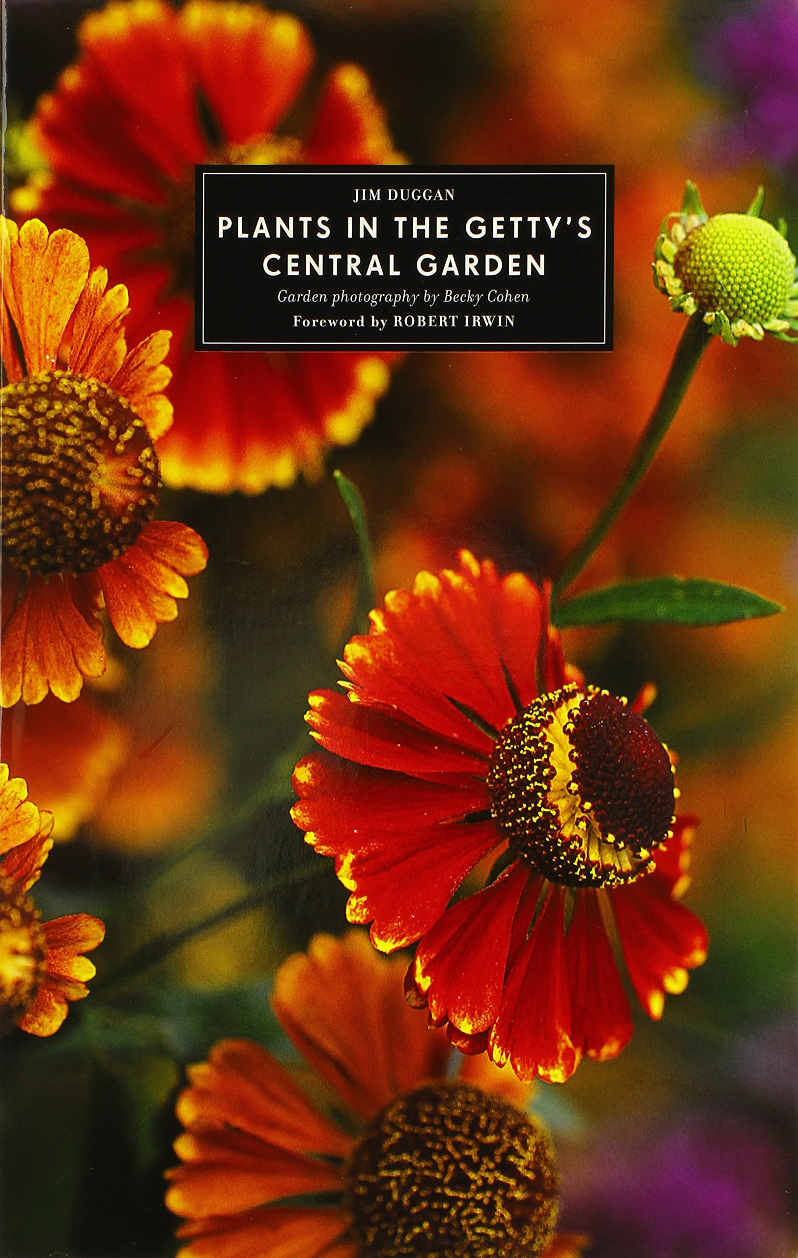 The Getty's Central Garden Plants - Stunning Botanical Collection for Home & Office Decor | Perfect for Indoor Greenery & Landscaping