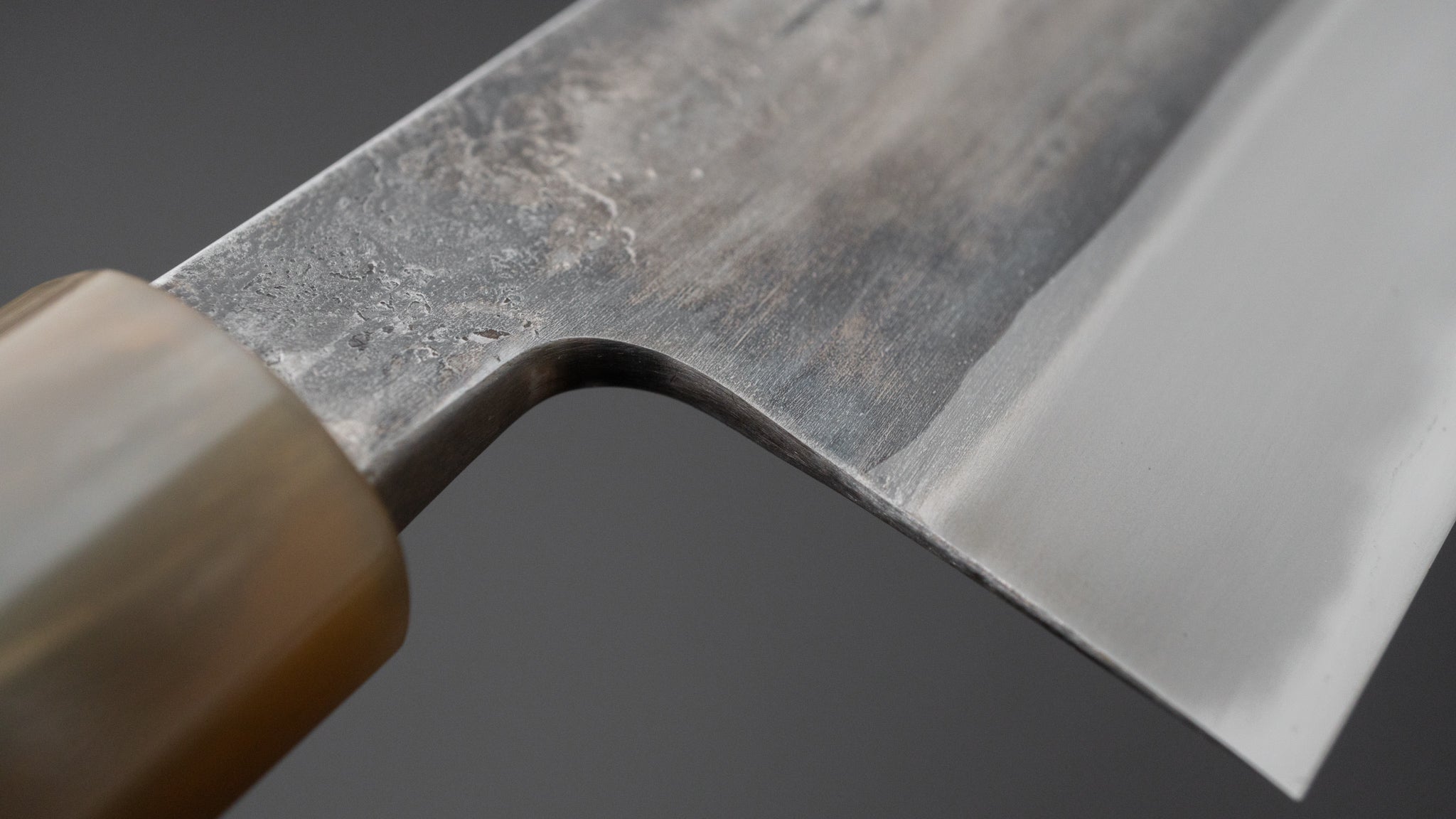 Jiro Tsuchime Wa Gyuto 225mm Japanese Chef Knife with Taihei Tagayasan Handle (#462) - Perfect for Sushi, Sashimi & Precision Cutting
