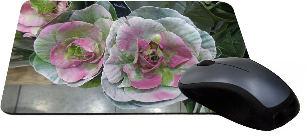 Pink and Green Cabbage Flowers Design Lightning Series Gaming Mouse Pad - Non-Slip Rubber Base, Large Extended Size (MPSQ-RK-44706) | Perfect for PC Gaming, Office Work & Home Computer Setup