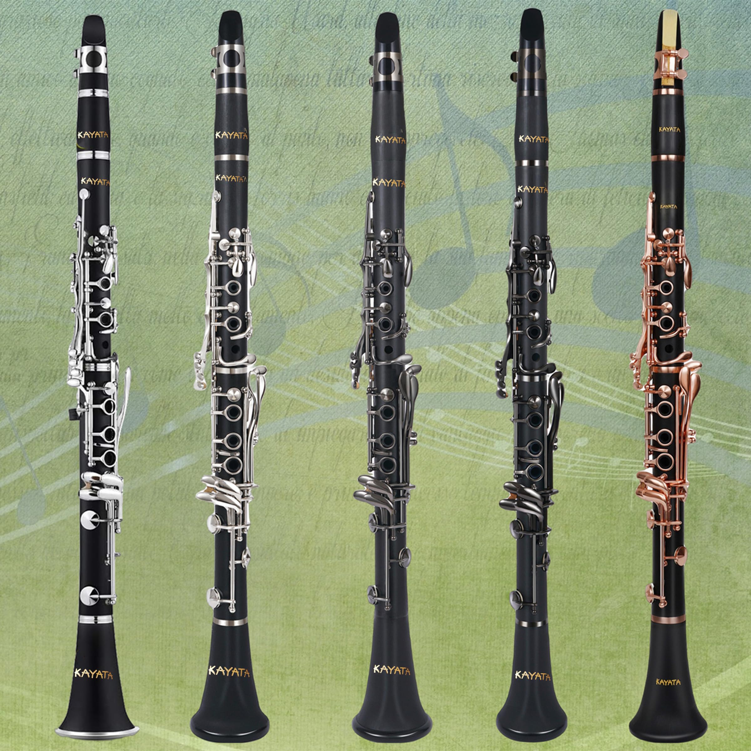 Professional B Flat Clarinet for Students - Black Nickel Plated with Reeds, Cleaning Kit & Durable Canvas Case | Perfect for School Bands, Music Lessons & Beginner Practice