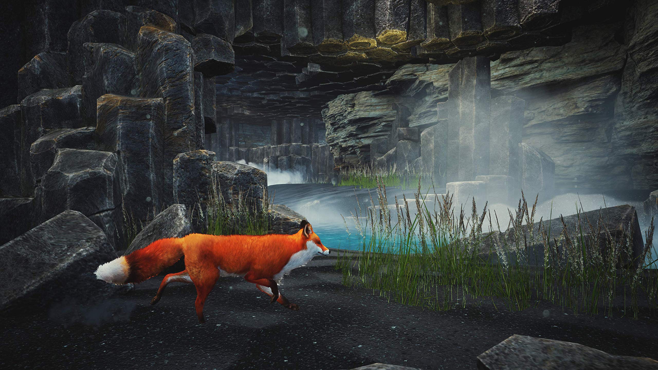 Spirit of the North Enhanced Edition for PlayStation 5 (PS5) - Adventure Game with Stunning Visuals | Perfect for Solo Gaming & Relaxation