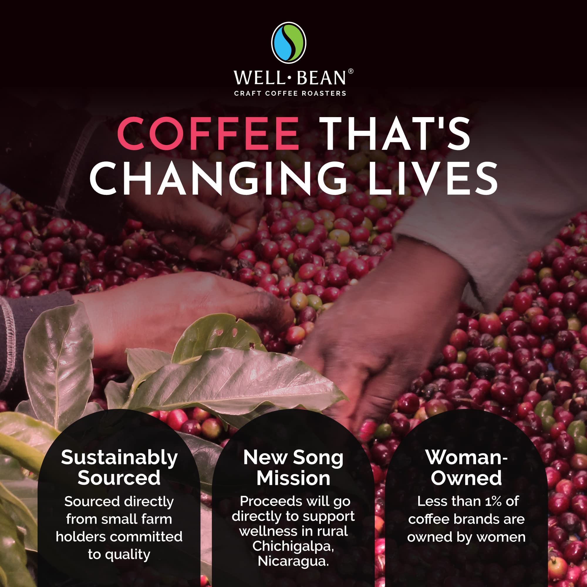 Well-Bean Coffee - First Crack Blend Ground Coffee, Breakfast Blend Honduras Coffee | Antioxidant Rich, Gluten-Free, Keto Friendly Light Roast | Perfect for Morning Brew, Office Break, or Camping | 12 oz