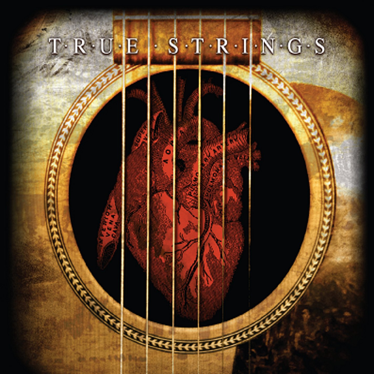 True Strings - Premium Guitar Strings for Acoustic & Electric Guitars | Perfect for Live Performances & Studio Recording