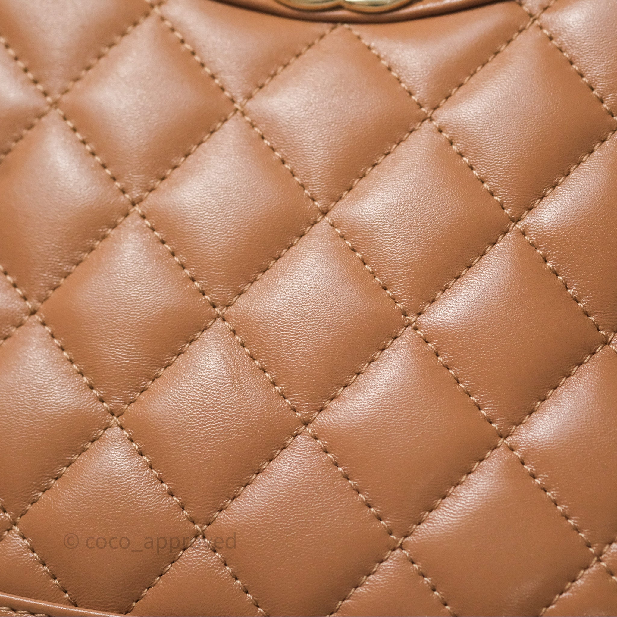 Chanel 31 Mini Bag in Beige Shiny Lambskin Leather with Gold Hardware - Elegant Crossbody Purse for Women, Perfect for Date Night & Special Occasions