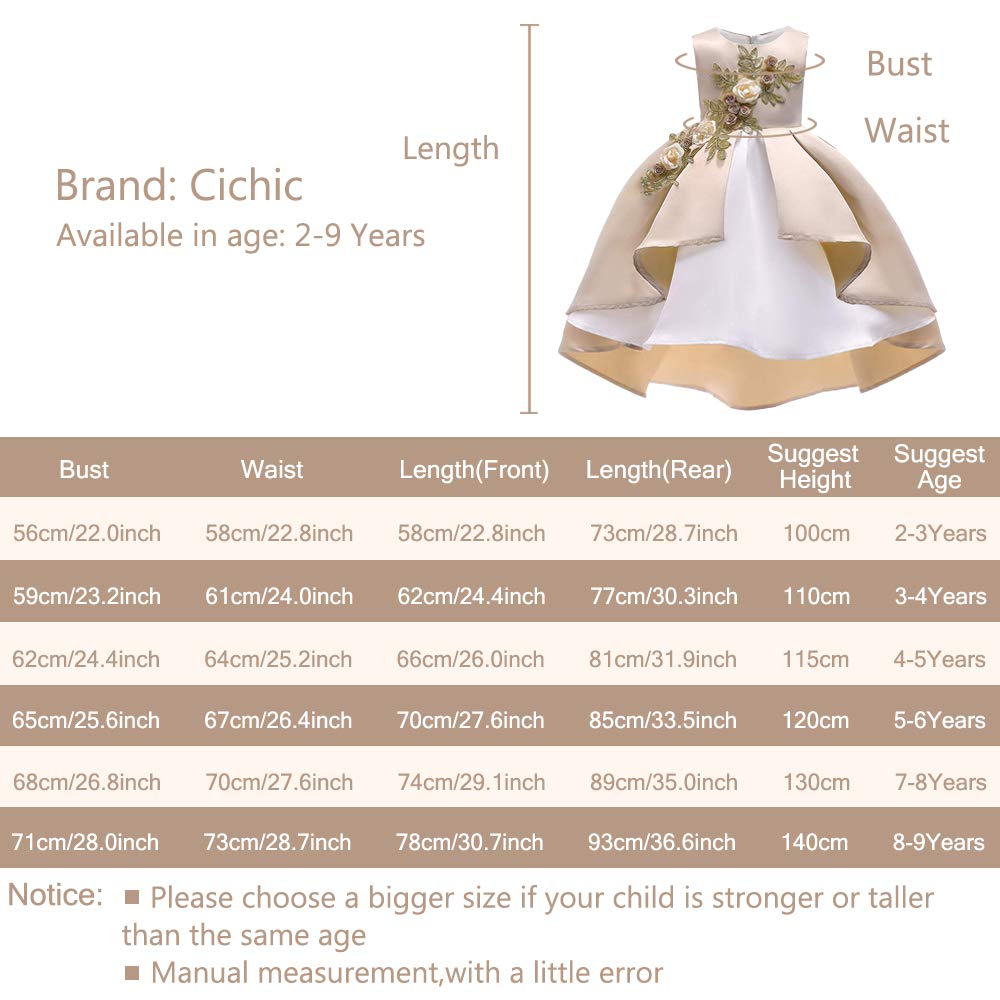 Princess Party Dress for Girls 2-3 Years Old - Elegant Formal Baby Girl Dress for Birthday, Wedding & Special Occasions