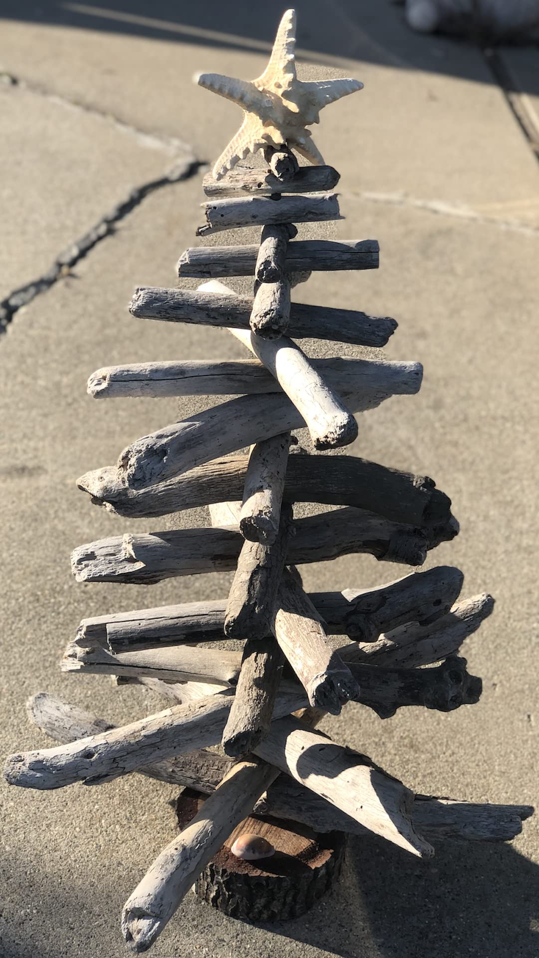 Handmade Beach Christmas Tree with Seashells & Natural Wood - Coastal Holiday Decor for Home, Office, or Beach House - Perfect Ocean-Themed Xmas Ornament & Unique Gift Idea