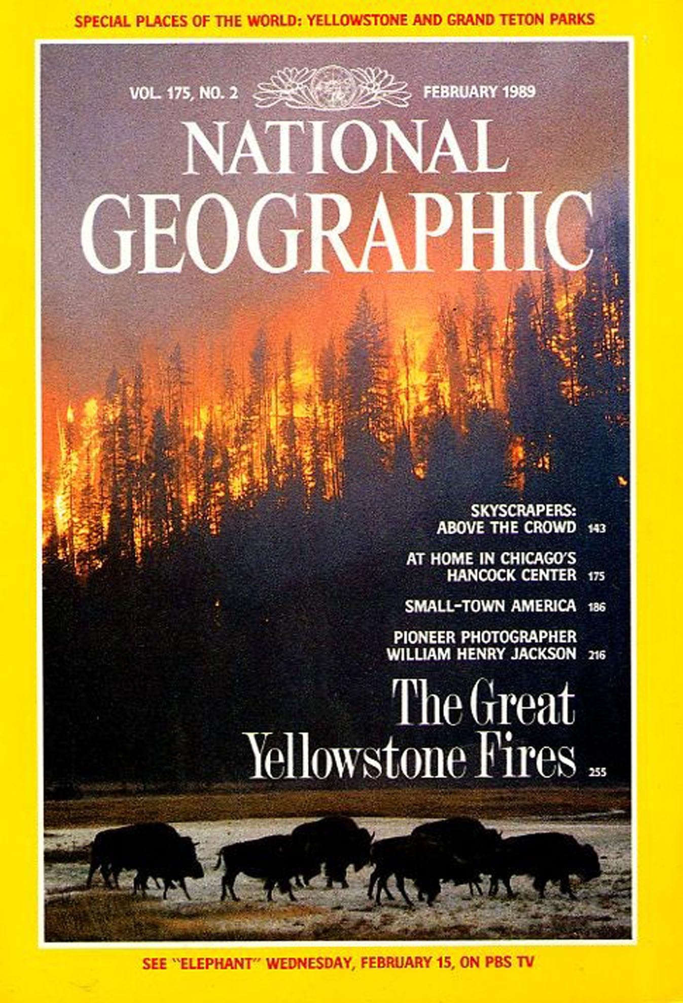 National Geographic February 1989 Issue - Small Town America | Vintage Collectible Magazine | Perfect for History Buffs & Americana Enthusiasts