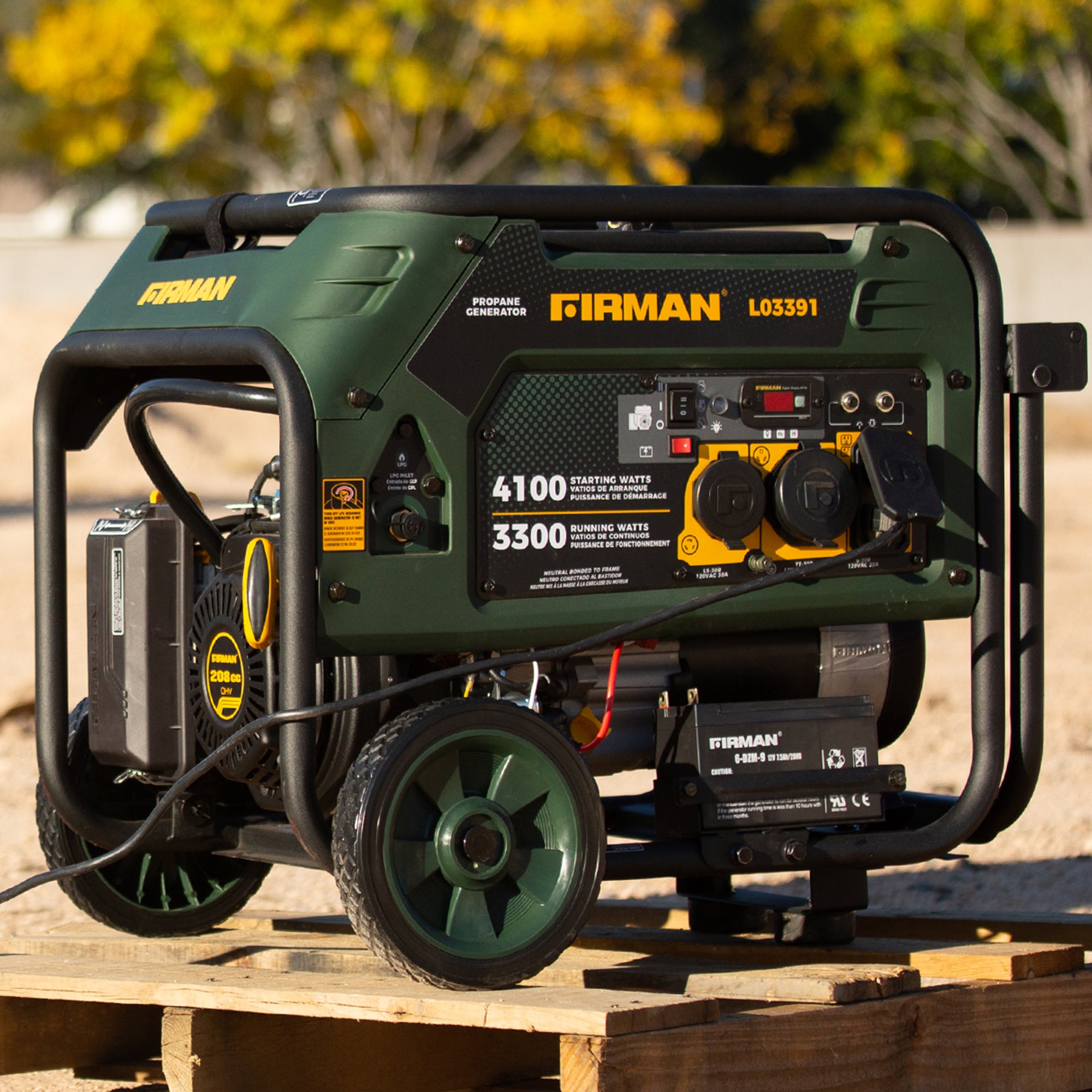 4100W LPG Portable Generator with Electric Start - Quiet, Reliable Power for Camping, RV Trips & Emergency Backup