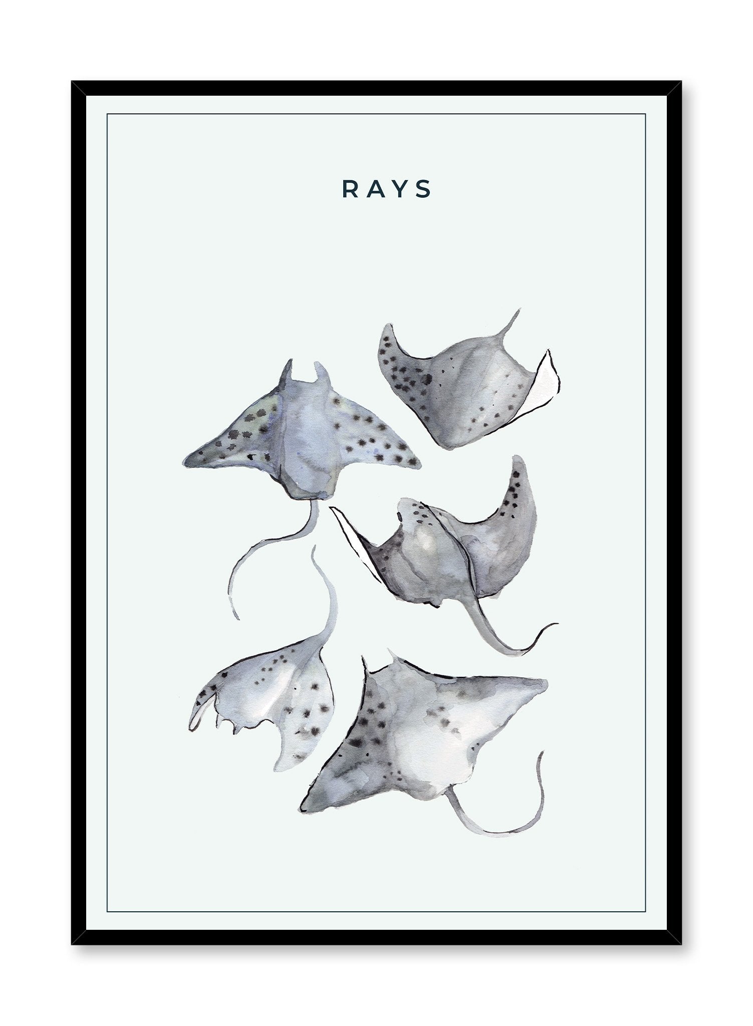 Ray Gang Poster - High Quality Wall Art Decor for Home, Office & Gifts | Perfect for Bedroom, Living Room & Dorm Room