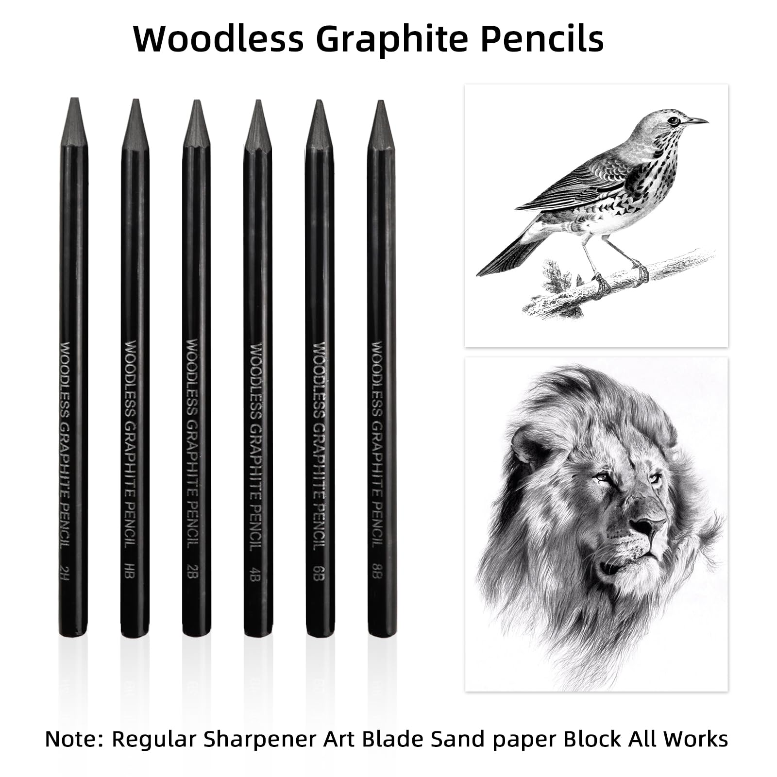 Professional Woodless Graphite Drawing Pencils Set - 6B 8B Degrees for Sketching, Shading & Writing | Includes 50 Blank Watercolor Cards | Perfect for Artists, Students & DIY Craft Projects