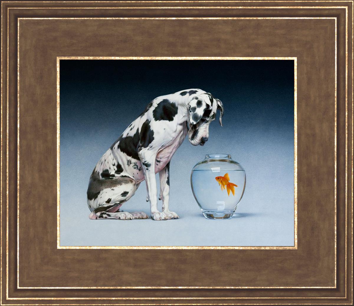 Dane And Fish By Chris Young - Premium Fishing Gear & Accessories for Outdoor Enthusiasts | Perfect for Freshwater & Saltwater Fishing Adventures