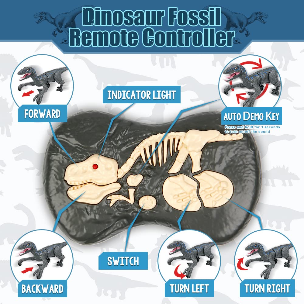 2.4G Remote Control Dinosaur Toy - Rechargeable Electronic Walking Velociraptor with LED Lights & Realistic Sounds, STEM Educational RC Toy for Kids Boys & Girls - Perfect for Indoor Play, Birthday Gifts & Learning Activities
