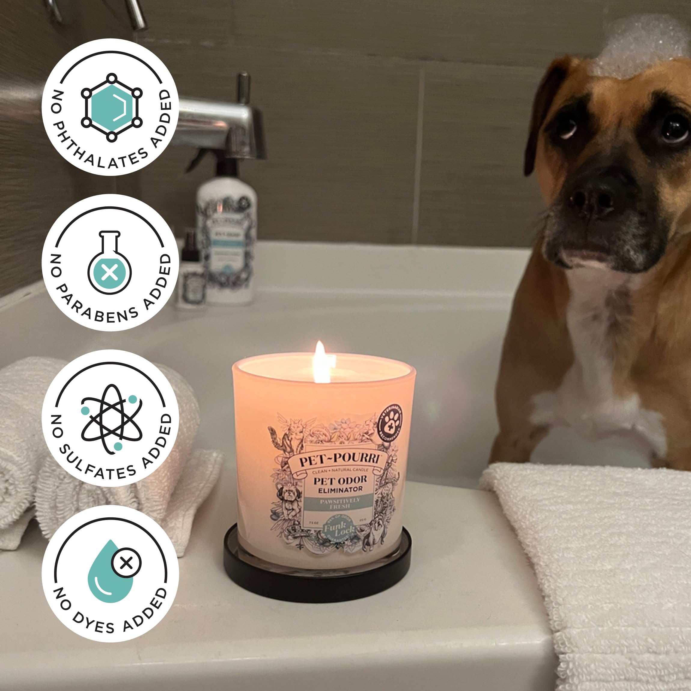 Pet Safe Deodorizer Candle - Plant Based Wax for Pet Odor - Pineapple Scent for Home & Grooming