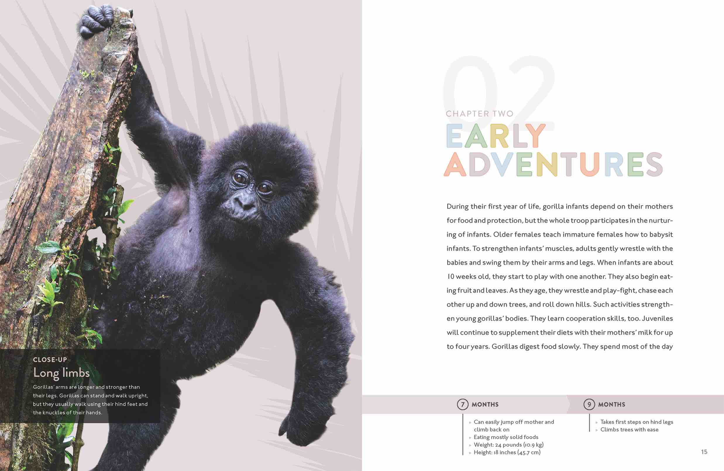 Gorilla 9781640263390 - Premium Gorilla Book for Kids & Adults - Perfect for Wildlife Enthusiasts, Animal Lovers, and Educational Use