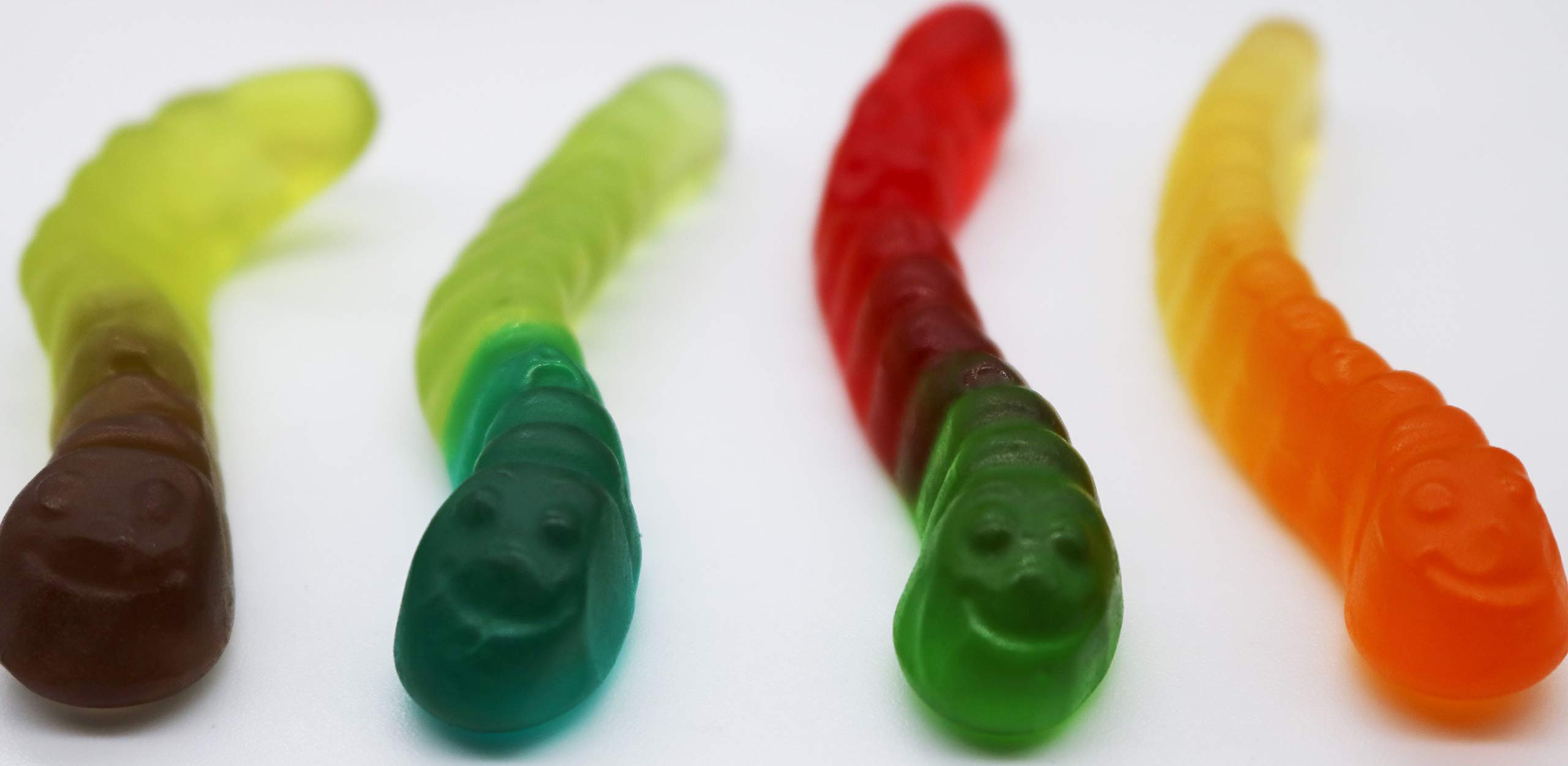 Smarty Stop Assorted Fruit Worm Gummy Candy - 2 LB Bulk Pack | Perfect for Halloween, Birthday Parties & Office Snacks