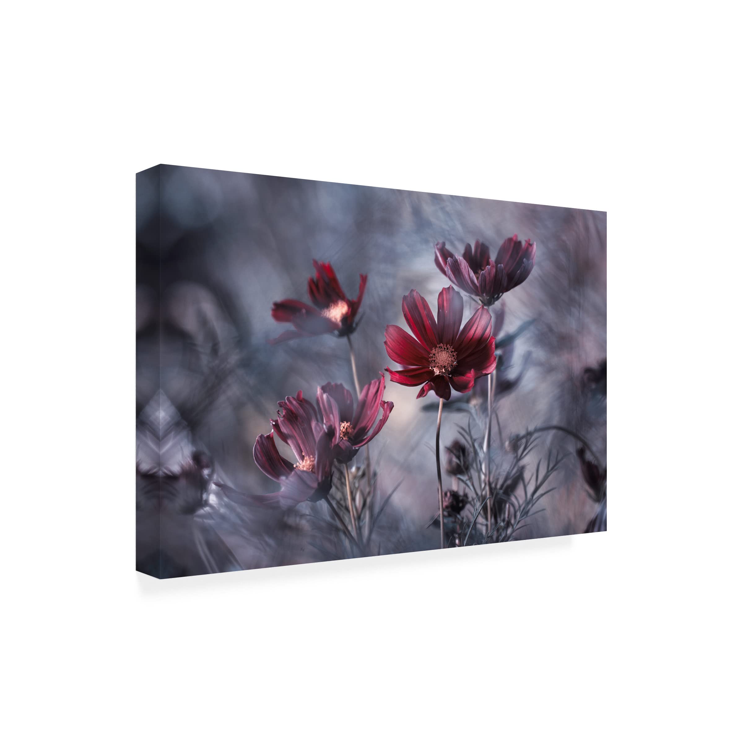 Fabien Bravin 'Cosmoslicious' Abstract Canvas Wall Art - Modern Home Decor for Living Room, Bedroom & Office | Trademark Fine Art Collection