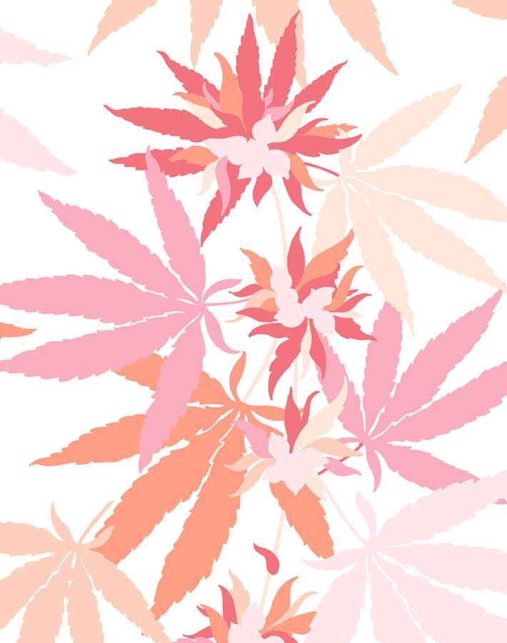 Nathan Turner 'Girls Best Friend' White Wallpaper - Elegant Floral Peel and Stick Wallpaper for Girls' Bedroom, Nursery & Home Decor