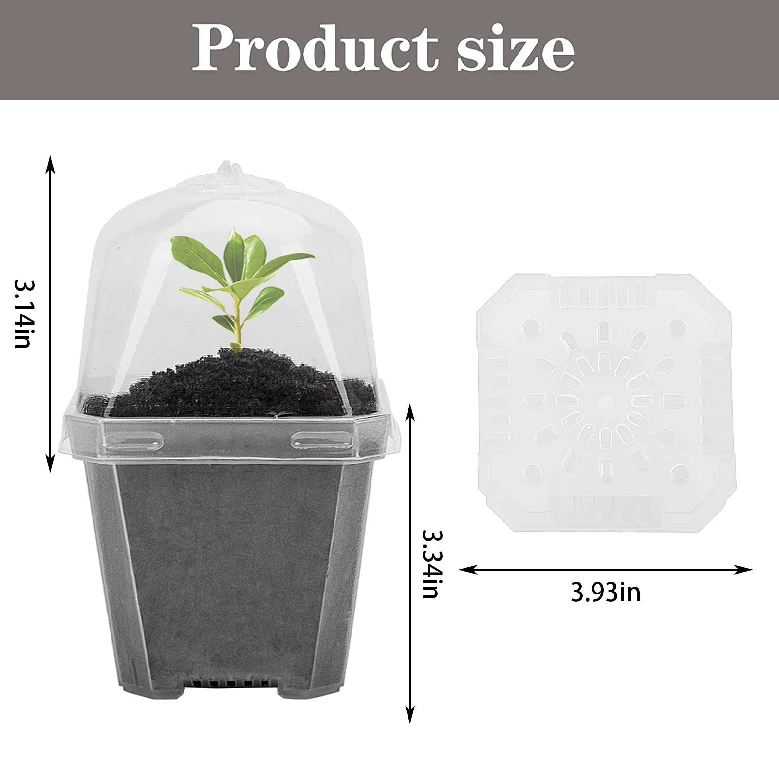 EBaokuup 4 Inch Clear Plastic Plant Nursery Pots with Humidity Dome - 10 Pack Gardening Containers with Drain Holes for Seedlings, Vegetables, Succulents & Cuttings - Ideal for Indoor Gardening, Greenhouse Planting & Home Garden Starters