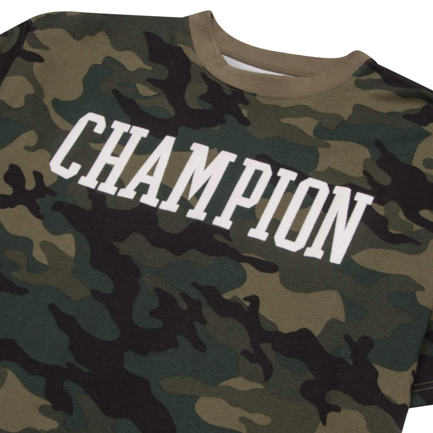 Champion Big and Tall Men's T-Shirts - 100% Cotton Short Sleeve Crewneck Tee for Casual Wear, Gym & Everyday Comfort