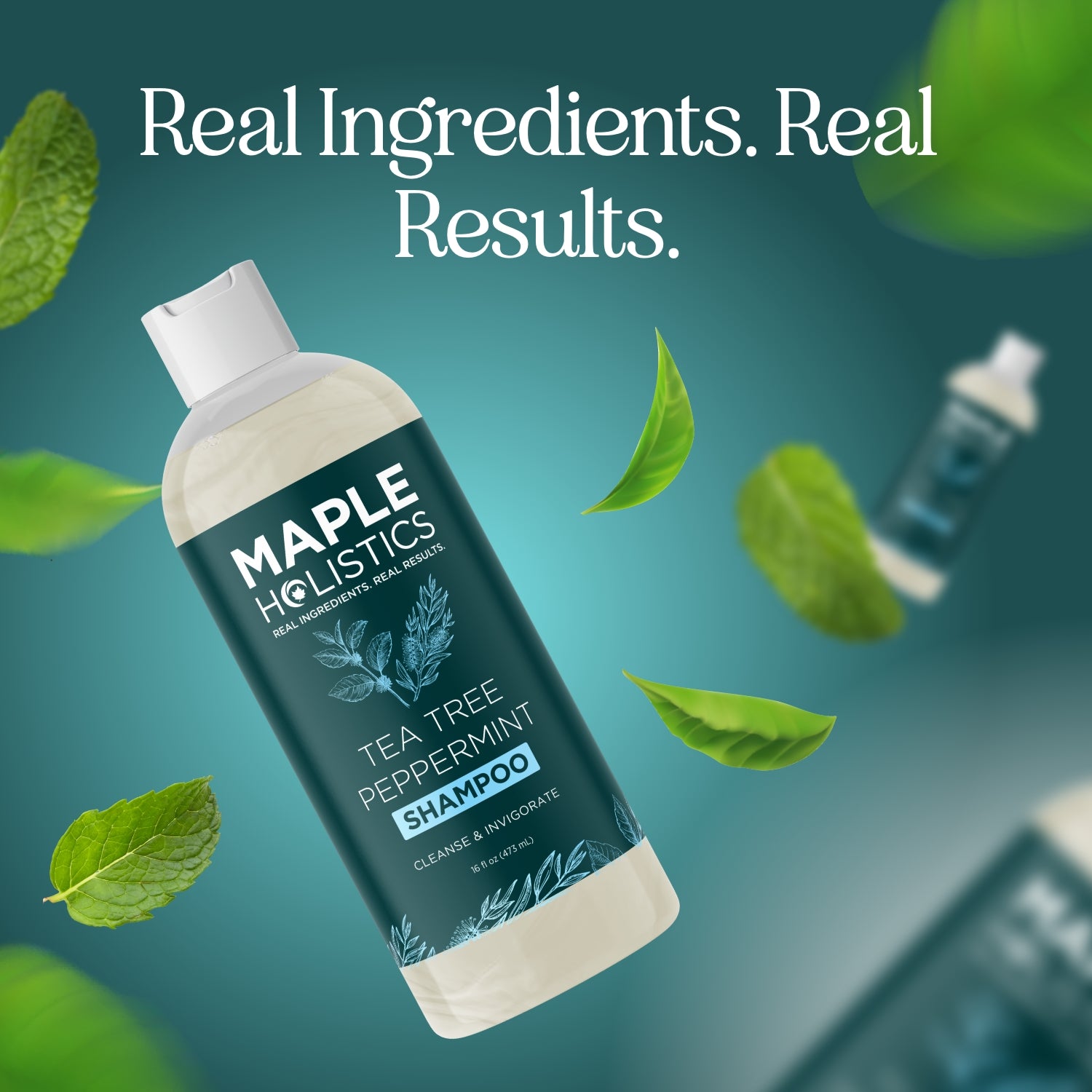 Tea Tree & Peppermint Shampoo for Oily Scalp & Dandruff Control - Refreshing & Soothing Hair Care for Daily Use